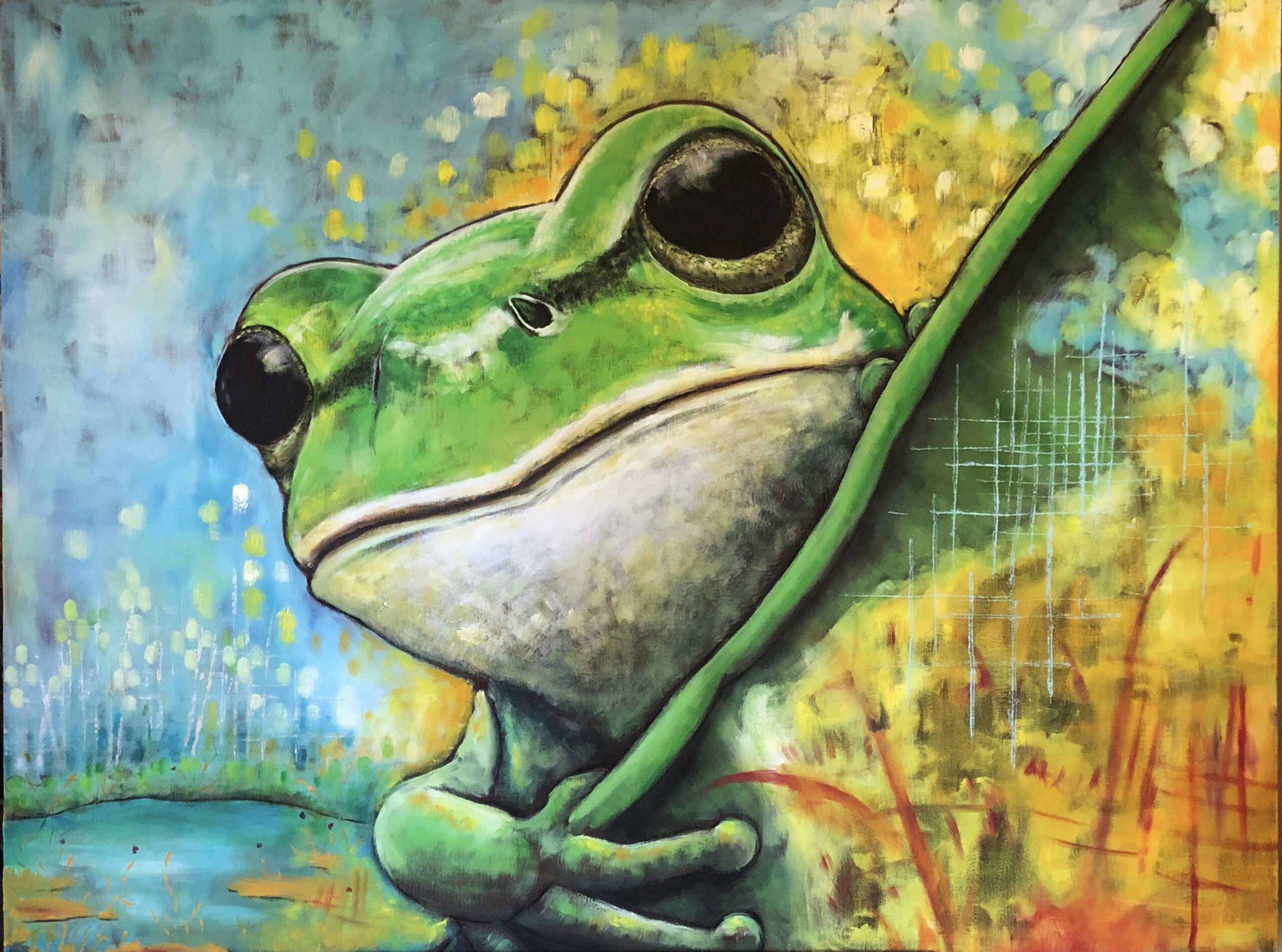 tree frog panting